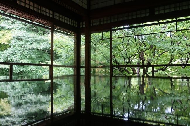 3年ぶりに全面点火される五山の送り火を見に、夏の京都へ行ってきました。涼を求めて、保津川下りや鵜飼舟に乗船、貴船神社や舞子浜を巡りました。<br />(ルート)<br />　１日目、両足院で座禅体験、嵯峨野トロッコ列車、保津川下り、嵐山錦で夕食、鵜飼舟乗船<br />　２日目、琵琶湖舞子浜、京都迎賓館、三井下鴨別邸、五山の送り火<br />　３日目、貴船神社、瑠璃光院<br />(宿泊)<br />　１日目、ザ・ワンファイブ京都四条<br />　２日目、ザ エディスターホテル京都二条<br />　３日目、OMO5京都三条 by 星野リゾート<br />