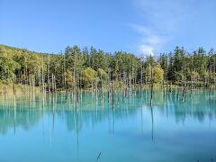 北海道　兄弟の旅　1