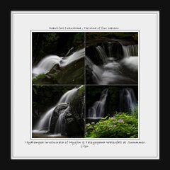 ◆夏の羽鳥湖高原～北限のタマアジサイ咲く明神滝＆立矢川の滝
