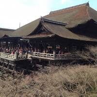 【2015.3 京都】~伏見稲荷/清水寺~