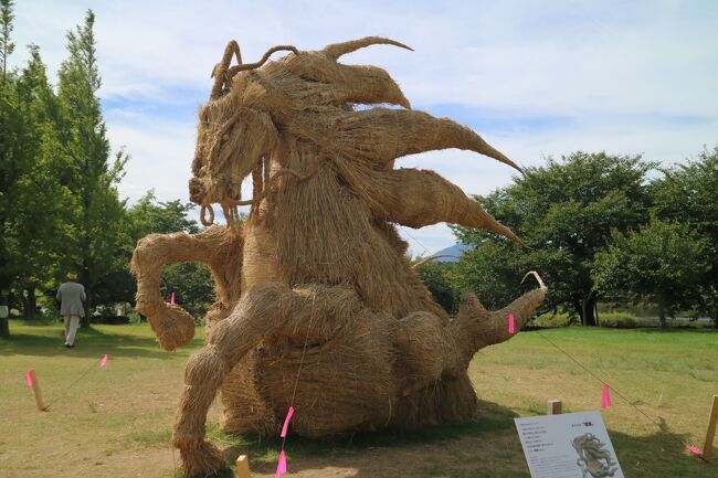 上堰潟（うわせきがた）公園で収穫後の稲わらを使用した「わらアート」を展示しているということで日帰り旅行を組みました。にしかん観光の周遊ぐるーんバスのモデルコースをもとに、だいろの湯、すりらんかかれーえいじま、ジェラテリアレガーロを組み込んだコースを組みました。電車とバスでの旅行予定でしたが、家族の予定が合い車を出してもらえたので弥彦山にも登った充実した旅になりました。