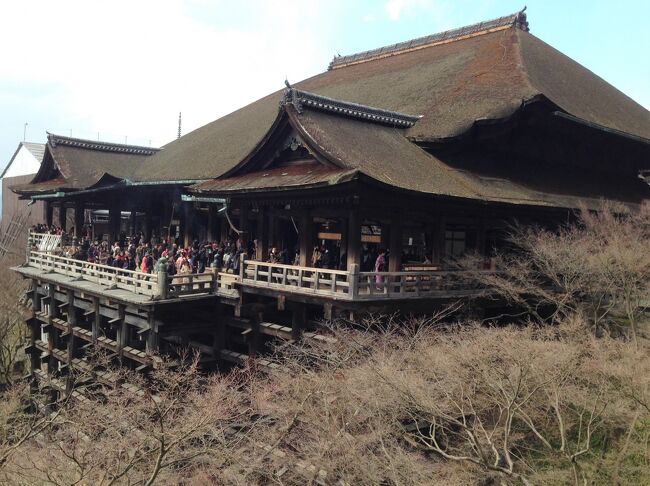 京都での用事を終えた後、清水寺･伏見稲荷を観光。