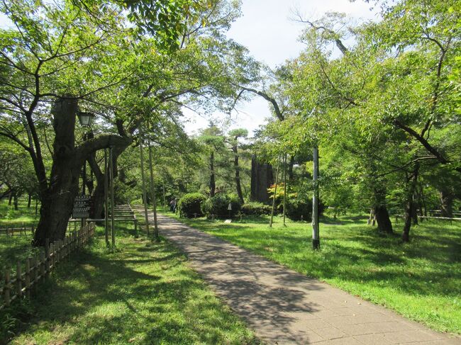 諏訪ICから杖突街道を通り高遠町に入りました。説明板を見て板山露頭を分からないながらも探し、駐車場で出会った地元の方と３０分ほど話しました。板山露頭、高遠町の歴史、御柱祭など興味深い話でした。ひっそりとした高遠城址公園の木々に癒され、進徳館、高遠町歴史博物館、絵島囲い屋敷などを見学しました。高遠湖を見た後、３つの寺と神社を訪れました。落ち着いた町高遠を満喫した半日でした。