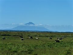 2022.9北海道列車・レンタカー旅行3-特急オホーツク4号で旭川に，翌日特急宗谷で稚内に