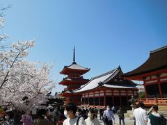 桜満開＆鉄印の旅　伊勢・志摩～奈良～京都～薄墨桜（岐阜県）　③京都