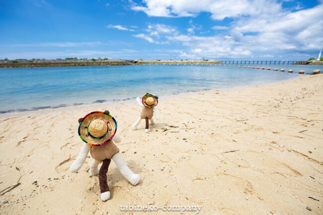 沖縄旅中巻は旅2日目に訪れたシェラトン沖縄サンマリーナリゾートのお話です。<br /><br />ビーチもホテルもまさしくザ・リゾート。<br />あまりにも楽しくてあまりにも居心地よくて<br />ご紹介したいこともいっぱいあり<br />たった1泊の滞在なのですが、シェラトン宿泊については到着から日没までをこの中巻で<br />そして夜からチェックアウトまでの過ごし方は下巻でと<br />2回に分けてお話ししたいと思います。<br /><br />語りたいことがありすぎて長文になってしまうかもしれませんが<br />良かったらお付き合い下さいね～(^o^)/