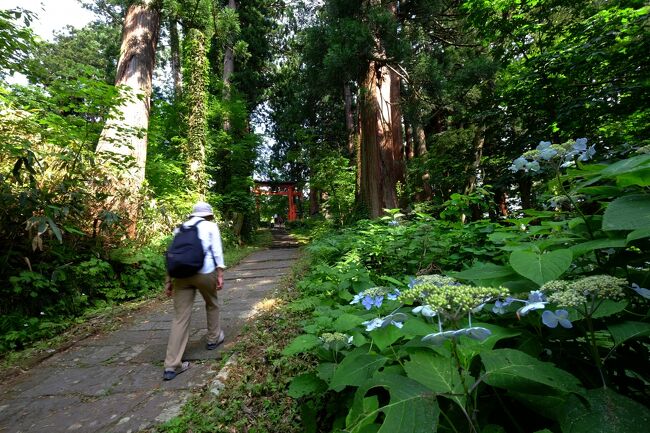 またやってきました山形に、今回の旅行は、羽黒山神社、月山、湯殿山神社を<br />参拝目的です。空港でオリックスレンタカーをレンタルして、いざ羽黒山神社に、髄神門近くの「いでは文化記念館」に駐車して、国宝の五重塔、二の坂で力餅を頂き、三の坂…２４４６段を上り、羽黒山三神合祭殿に参拝。特にこの日は蒸し暑く汗ダラダラで上りました。<br /><br />