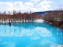 旭川旅行：青い池の美しさに感動