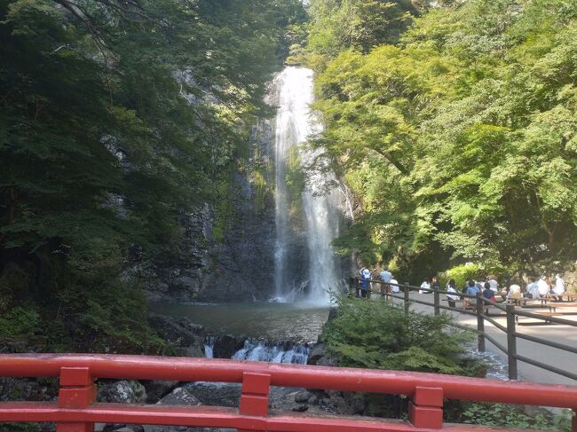 箕面市は大阪の北摂地域に位置しており、明治の森箕面国定公園があって自然豊富な都市であります。自然豊かな場所であるだけではなく、交通のアクセスはとても抜群であり大阪の中心部(梅田)まで最短24分で行くことが出来ます。教育にも力を入れており、英語教育やタブレット端末を使った授業が行われています。(ハウスゲート参照)箕面の地名の由来は様々ありますが、一説には「箕面大滝」の「面」(表面の形)が穀物を入れてもみ殻や藁屑をふるい分ける農具の「箕」に似ていたことから、「箕面」という表記になったとされています。(箕面市参照)<br />箕面市は自然が豊かな都市なので、「天下の名瀑」として有名な箕面大滝・国定公園に指定された箕面国定公園・門橋にさしかかるところにある2つの大きな岩である唐人戻岩が盛りだくさんです。(箕面さんぽ参照)<br />今回は昆虫館・箕面大滝などを訪問し、もみじ天ぷら・弁当・飲むわらび餅などのグルメで楽しみました。<br />最後になりますが、私の旅行記を見て箕面市に行きたいと思ったきっかけ及び箕面市に旅行に行く時の参考となれば幸いです。箕面市の旅行が皆様にとって忘れられない思い出になります事を心よりお祈り申し上げます。