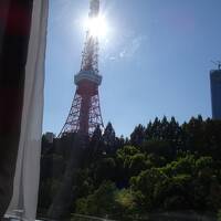 結婚記念日は東京タワーを見て過ごす