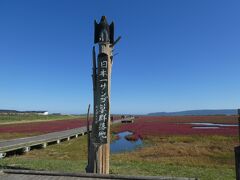 ひまわり畑　サンゴ草　東北海道　季節の花々めぐり　2日目。