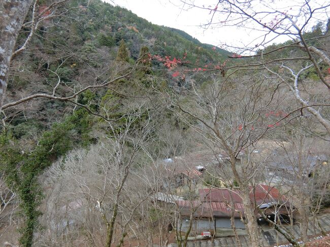 今日は初めて高雄へ行って見る。<br />バスに揺られて１時間ほどで到着する。山々に囲まれた山の中腹にあるお寺。それぞれ歴史ある重要文化財なども多く、貴重なお寺。思い切って行ってきてよかった。<br /><br />二条城<br />神護寺<br />西明寺<br />高山寺<br />嵐山