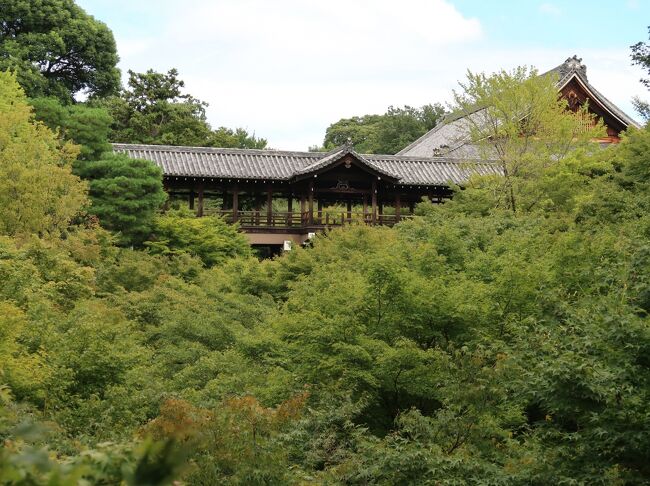 伏見稲荷大社へ行った後は東福寺へ行きました。<br /><br />東福寺は「通天橋から見る紅葉」と「方丈庭園」が有名です。<br /><br />京都出身の私は京都の有名観光地へはかなり行っているのですが、伏見稲荷大社と共に東福寺へは行ったことがありませんでした。<br />それで今回、初めての東福寺を楽しみにしていました。<br /><br />紅葉の季節には大変な人出になるという東福寺もこの時期はがらんとして、通天橋や方丈庭園をゆっくり見て回ることができました。<br /><br />　～＊～＊～＊～＊～＊～＊～＊～＊～＊～＊～<br /><br />＜旅行のスケジュール＞<br />　　　      　★印がこの旅行記で取り上げた場所です。<br /><br />９月５日（月）　新幹線のぞみ209（東京8:21発）で京都へ　<br />　　　　　　　　伏見稲荷大社<br />　　　　　　　★東福寺　　　　　　　　<br />　　　　　　　　＜星のや京都泊＞<br />　　　　　　　　　　　　　　<br /><br />９月６日（火）　渡月橋<br />　　　　　　　　天龍寺<br />　　　　　　　　竹林の道<br />　　　　　　　　大河内山荘　　　　　　　　　　　　<br />　　　　　　　　新幹線のぞみ236号（京都16:30発）で東京へ<br />