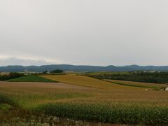 2022.09 JR北海道＆礼文島の旅（３）ちょっと足を伸ばして美瑛の丘１時間サイクリング