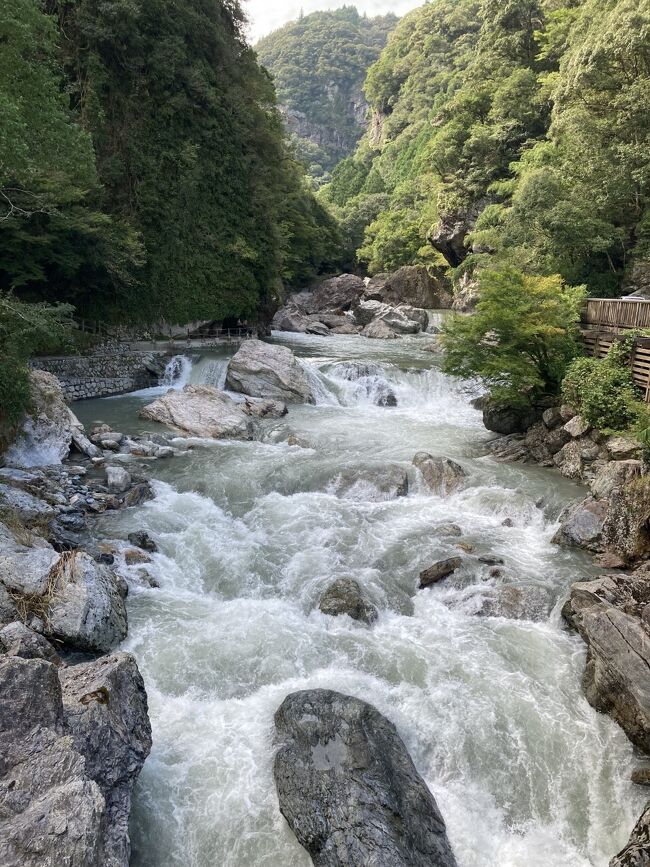 遅い夏休み、初めて四国へ行ってみようと思い立った。<br />四国の中でもどこへ行こうかと考えた時に思い出したのが、以前にテレビで観た「仁淀ブルー」。<br />（仁淀川流域で見られる、透き通った美しい青色を表現した言葉）<br />これを見に行ってみることにした。<br />出発の2日前に台風が来ていたので、影響はいかに？<br /><br />フライトはユナイテッド航空のマイルを使用してANA利用（往復11,000マイル）、ホテルは健保の補助利用で2泊で約1万円と安上がり。<br />しかし、2日目は観光タクシーを1人でチャーターして約2万円！<br />それ以外は本数の少ない公共交通機関を利用しての観光なので、しっかり予定を立てたのだけど、想定外のことが毎日起きるのでした・・・！<br /><br />＜スケジュール＞<br />9月21日（水）　朝のフライトで羽田空港→高知　<br />　　　　　　　　佐川町、中津渓谷観光（高知泊）★この旅行記★<br />9月22日（木）　観光タクシーで、にこ淵、安居渓谷など観光（高知泊）<br />9月23日（金）　ごめん・なはり線乗車、田野・奈半利観光<br />　　　　　　　　夕方のフライトで高知→羽田空港　