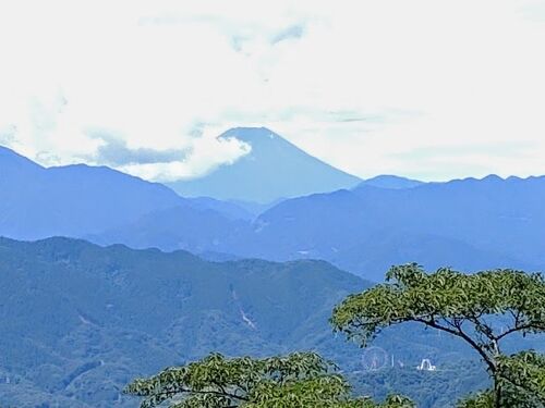 高尾山登山(6号路～山頂～稲荷山コース) 2022.07.20』高尾