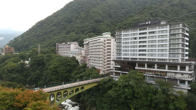 日光から東武日光線、鬼怒川線に乗って鬼怒川温泉。<br />「鬼怒川観光ホテル」（初めて泊まる「大江戸温泉物語」グループのお宿）で、<br />温泉、食事、卓球と、温泉旅館を満喫。<br />次の日は「東部ワールドスクエア」でミニチュア版の世界一周してから、<br />スペーシアで新宿に帰った。<br />