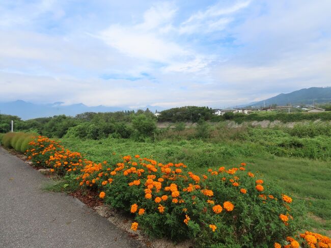 信州二日目。<br />穂高で自転車を借りる予定だったので、お天気は大事。<br />朝はどんより。駅に向かってると雨が降って来ました。<br />さて、どうなるでしょう。<br /><br />奈良井宿編はこちら→https://4travel.jp/travelogue/11779669<br />松本編はこちら→https://4travel.jp/travelogue/11780597