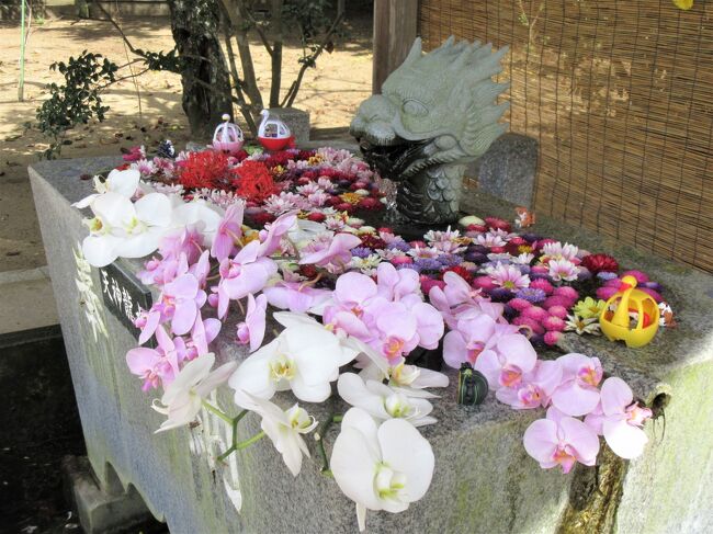 鎌数伊勢大神宮の花手水・鏑木城（古城）★北総ぶらり旅2022年9月③