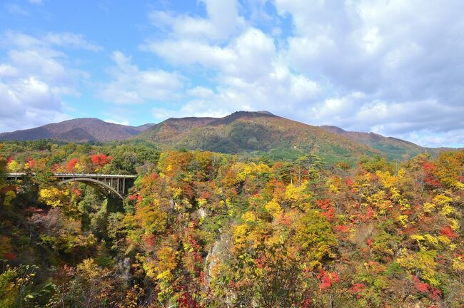 2021年の秋、10月も終わりに近づくと、東北地方は今まさに紅葉の見頃を迎えているようで、今回は東北３県（宮城県・秋田県・岩手県）の紅葉スポットをピックアップしながら、周遊していくことに。<br /><br />最初に訪れたのが、宮城県北西部の県境に近い「鳴子」エリアで、その目的は東北でも有数の紅葉スポットである「鳴子峡」です。<br /><br />紅葉シーズンにはかなり混雑すると聞いたため、「古川駅」近くのホテルに前泊し、９時には「鳴子峡レストハウス」前の駐車場へと到着し、場所を確保。<br />すぐそばの見晴台からは、深さ100メートルはあろうかという峡谷が極彩色に彩られ、まさに紅葉真っ盛りといった光景が広がっており、そして「鳴子峡遊歩道」と「大深沢遊歩道」の２つの遊歩道を散策しながらの紅葉狩り。<br /><br />まだまだ旅は始まったばかりですが、「鳴子峡」の雄大な自然と色鮮やかな景色に圧倒されっぱなしのスタートとなりました♪<br /><br /><br />〔秋の東北３県紅葉巡り（2021年10月）〕<br />●Part.1（１日目①）：鳴子峡（紅葉の名所100選）【この旅行記】<br />●Part.2（１日目②）：鳴子ダム／鬼首温泉／鬼首エコロード<br />　https://4travel.jp/travelogue/11783526<br />●Part.3（１日目③＆２日目①）：秋の宮温泉郷／こまち湯ったりロード<br />　https://4travel.jp/travelogue/11784960<br />●Part.4（２日目②）：小安峡<br />　https://4travel.jp/travelogue/11787147<br />●Part.5（３日目①）：平泉①／中尊寺（世界遺産）<br />　https://4travel.jp/travelogue/11788732<br /><br />〔紅葉の名所を巡る旅〕<br />●八幡平（岩手県）　：https://4travel.jp/travelogue/11707256<br />　　　　　　　　　　　https://4travel.jp/travelogue/11710639<br />●箱根（神奈川県）　：https://4travel.jp/travelogue/11725617<br />　　　　　　　　　　　https://4travel.jp/travelogue/11729505<br />●妙高高原（新潟県）：https://4travel.jp/travelogue/11657066<br />●大原（京都府）　　：https://4travel.jp/travelogue/11544446<br />　　　　　　　　　　　https://4travel.jp/travelogue/11549521