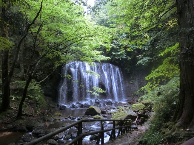 猪苗代の秘湯である中ノ沢温泉の万葉亭。<br />川の畔にある緑豊かな環境にある素敵なお宿で、お料理もネットの評判通り最高でした。<br />部屋でビール飲みながらゆっくり読書も最高。<br />聴こえるのは川のせせらぎと川の音。<br />都会にはない最高の環境がココにありました。<br /><br />チェックアウト後は、万葉亭で知った達沢不動滝へ。<br />名瀑と言うだけあって、素敵な滝でした。