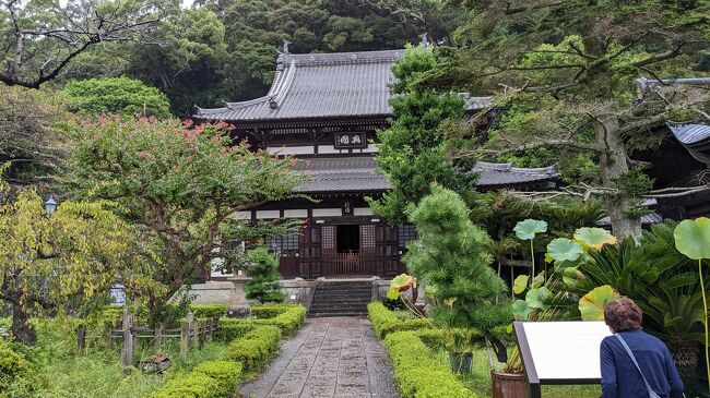 椿山荘から、東京見物は無しで帰宅の途に。<br />目的は娘の希望で、清水の清見寺見学。<br />母もずっと行きたがっていたので、良い機会なので寄って帰る。<br />東京ではずっと晴れていたのが、この日は台風１５号の影響で、静岡県は雨が降ったりやんだりの不安定な天気。<br />清見寺は古く由緒あるお寺。<br />富士山世界遺産センターの展示品にも登場することが多い。<br />https://seikenji.com/<br />東海道本線に乗っていると山門のすぐ脇を通るのでずっと気になっていた。<br />