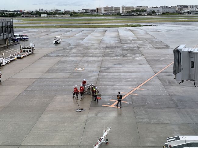 仕事と私用を兼ねた、行き慣れた大阪<br />今回も、いつものように飛行機で<br />羽田→伊丹と飛びました<br /><br />往路は、いつもと変わりませんでしたが<br />それは、復路で起こりました<br /><br />聞いてはいましたが<br />実際に体験したのは初めてでしたので<br />少し焦りました<br /><br />欠航→振替便で帰宅の様子を<br />レポしたいと思います<br /><br />