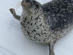 キャンピングカーでオホーツクを駆け巡る秋旅　紋別・女満別・網走 編　*２