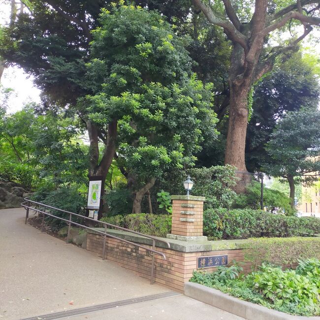 横浜に観光のはずですが、今回は横浜の役所巡りとなります