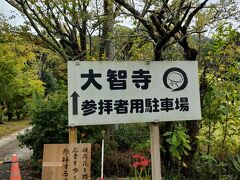 県民割で行く東農①　大智寺の彼岸花