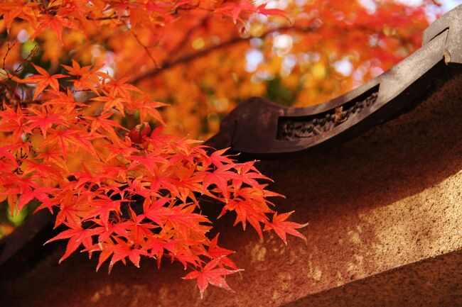 紅葉真っ盛りの京都を歩いてきた