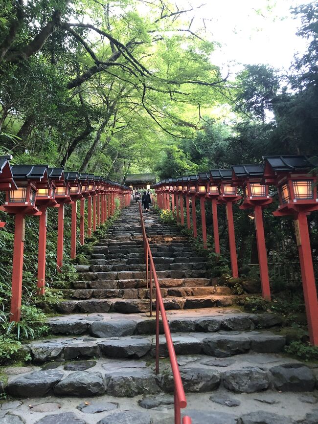 京都観光がしたくて、仕事が少し落ち着いたタイミングで1人旅<br />「27日の夕方に東京で仕事があったので、それまでに戻って来ればよし<br />とりあえず、伏見稲荷大社には行きたい」<br />という、ゆるい感じで新幹線に乗ったのですが<br />いろんなご縁が繋がり、ものすごく充実した旅になりました。