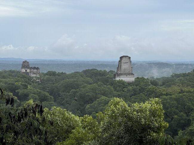 ９月のシルバーウィークにメキシコのプラヤデルカルメン・グアテマラのフローレスに行ってきました。前半は、コスメル島、セノーテでダイビング、後半は、チチェン・イッツァ、ティカルとマヤ文明の遺跡巡りをしました。飛行機が欠航になって、遠回りをしてグアテマラ・フローレスに行ったりと大変なところはありましたが、はじめてのカリブ海ダイビングとマヤ文明の遺跡を満喫してきました。<br /><br />・行程<br />2022/09/16 東京～ロサンゼルス<br />2022/09/17 ロサンゼルス～カンクン<br />2022/09/21 カンクン～フローレス<br />2022/09/22 フローレス～カンクン<br />2022/09/23 カンクン～東京<br /><br />・フライト<br />16SEP22 NH126 H(Y) HND LAX 2105 1510(+1)<br />24SEP22 NH105 H(Y) LAX HND 0050 0500(+1)<br />＃ANAのHPで購入したエコノミー航空券「バンコク～羽田（東京）～ロサンゼルス～羽田（東京）～バンコク」240,840円の一部<br />17SEP22 DL2794 ? LAX CUN 1004 1640<br />23SEP22 DL2793 ? CUN LAX 1740 2057<br />＃Deltaの特典航空券（往復） 28,000マイル+$93.72 USD<br />21SEP22 5U201 ? CUN GUA 1440 1510<br />21SEP22 5U120 ? GUA FRS 1910 2005<br />22SEP22 5U210 ? FRS CUN 1750 2040<br /><br />・バス<br />17 SEP 2022 カンクン空港～プラヤデルカルメン 225ペソ<br />20 SEP 2022 プラヤデルカルメン～チチェン・イッツァ遺跡 442ペソ<br />20 SEP 2022 チチェン・イッツァ遺跡～プラヤデルカルメン 442ペソ<br />22 SEP 2022 カンクン空港～カンクンダウンタウン 105ペソ<br />23 SEP 2022 カンクンダウンタウン～カンクン空港 105ペソ<br /><br />・宿泊<br />2022/09/16 Holiday Inn Los Angeles - LAX Airport：93.00 USD + 11,000ポイント ＃IHGサイトで予約<br />2022/09/17-20 Residence Inn Playa del Carmen：270.39 USD ＃Bonvoyサイトで予約<br />2022/09/21 Casa Ramona：353.80GTQ ＃Booking.comサイトで予約<br />2022/09/22 Fairfield Inn &amp; Suites by Marriott Cancun Downtown：89.36 USD ＃Bonvoyサイトで予約<br /><br />・世界遺産<br />(1)チチェン・イッツァ（メキシコ）<br />(2)ティカル国立公園（グアテマラ）<br />