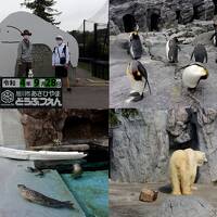 熱いぜ！坊主野郎の休日 in 旭山動物園