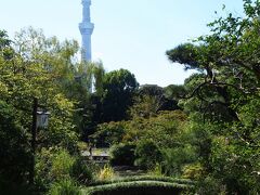 久しぶりに晴れた週末、母を誘って朝ごはんを食べに築地本願寺カフェへ