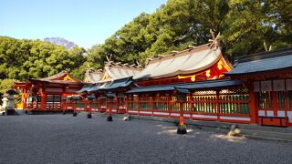 【2022.10 新宮】~阿須賀神社/熊野速玉大社~【47都道府県一人旅 #26 和歌山編】