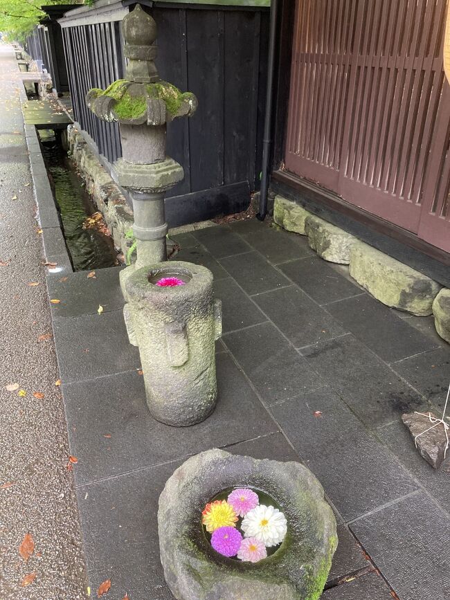 羽黒山に行くついでに、角館の武家屋敷でも見に行くかと言ってみた。<br />ここ以外は私の興味を引くものが全くないので、何かのついででないといかないだろうなと思って。<br />関西圏からは遠いんですよね、この辺り。<br />本当は桜の時期とか紅葉の時期とかが良いんでしょうが(苦笑)<br />雰囲気はよかったが、中に入れない屋敷が多くて、見応えはイマイチ。<br />日帰り旅行なら良い観光地かなと思います。