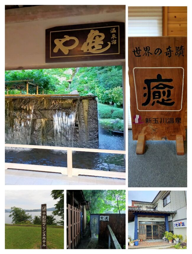 東京ー宮城(仙台・松島・南三陸町)ー岩手(宮古市)ー青森(酸ヶ湯・八甲田山・十和田湖・黒石市)ー秋田(新玉川温泉・田沢湖・乳頭温泉)ー山形(鶴岡市)ー新潟(新潟港)…《佐渡汽船》…佐渡島(両津港・七浦海岸・二つ亀・両津港)…《佐渡汽船》…新潟(新潟港)ー群馬(みなかみ温泉)ー東京<br /><br />《２０２２年》<br />☆９/１７東京ー仙台市【ホテルシンドバッド泊】<br />☆９/１８仙台市ー松島ー南三陸町ー浄土ヶ浜ー宮古市【ホテル近江屋】<br />☆９/１９宮古市ー酸ヶ湯ー八甲田山ー十和田湖【十和田プリンスホテル泊】<br />☆９/２０十和田湖ー黒石市ー新玉川温泉【新玉川温泉泊】<br />☆９/２１新玉川温泉ー田沢湖ー乳頭温泉ー鶴岡市【亀や泊】<br />☆９/２２鶴岡市ー新潟市…《佐渡汽船》…佐渡島【七浦荘泊】<br />☆９/２３佐渡島…《佐渡汽船》…新潟市ー群馬県みなかみ町【長生館泊】<br />☆９/２４群馬ー埼玉ー東京<br /><br />２０１９年以降海外旅行には行けていなく、それなら４７都道府県を行き尽くそうと、２年前から精力的に国内を旅して歩いている。<br />東北六県を制覇すると、残りは鳥取と山口である。<br />そんな訳で、２０２２年のシルバーウィークは東北を旅した。<br />後々回しになっていたが、いやいやその魅力に取り憑かれ、『すごいぞ！東北』って感じで感無量だ。<br /><br />今回は７泊したが、それぞれが趣の違うバラエティーに富んだ宿だったので、ホテルだけを取り上げて特集してみた。