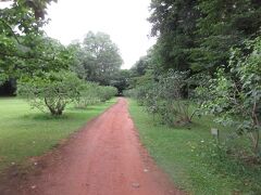 ～ 　北海道大学植物園　～  Vol.６ザ・ウィンザーホテル洞爺　サッポロビール園・リベンジ旅行　2022～　  