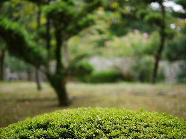 松花堂庭園の踏み石や萩を撮りに行ってきました。