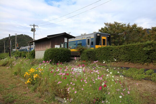 東京の大学で仲の良かった友達が大阪から広島までやってきて一緒に旅をすることになりました。<br />彼の目的はJR山口線にある渡川駅、自分の名前と同じ駅名に何かそこに自身のルーツがあるのでは、とその場所に行ってみたい衝動に駆られたようです。<br />しかし当駅は各駅停車のみ停まる無人駅で周りに何もありません。もし列車で向かうとすれば次の列車まで2～3時間でとても間が持てません。それであれば学生時代三人（一人は若くして亡くなった）で旅した萩・津和野を今度はクルマで再び訪ねてみて、その道中に渡川駅に行ってみようということになりました。<br />夜のお楽しみ、旨い酒と旨い肴で昔話に花を咲かせようと、居酒屋を厳選して萩と益田に宿を取り、山口県の観光ポイントを回る旅を計画しました。<br /><br />美食の街、大阪からやってきた友人もお昼も含めた食事には満足した模様で、夜までの時間つぶしに連れて行った観光地も十分楽しめたようでした。<br /><br />それよりも仲の良い友達と久しぶりに会い酒を酌み交わすことが、寧ろ食事を美味しくし、旅を楽しいものにしたような気がします。