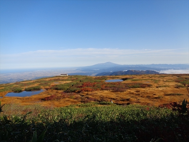 　2021年10月，お天気に恵まれた土曜日のこの日は，今年も月山登山に出かけました．2020年も秋に登りましたが，時期が少し遅れてしまい，頂上付近の紅葉が終わってしまっていたので，今年は頂上の紅葉がベストになるタイミングを見計らって，10月9日に登ることにしました．コースは昨年同様，月山8合目の駐車場に車を止め，弥陀ヶ原，佛生池小屋経由で頂上まで行って帰ってくるピストンです．流石にこの時期にはまだ8合目より下は青々としていましたが，弥陀ヶ原から上はまずまずの紅葉．昨年はオモワシ山付近の紅葉が最盛期でしたが，今年はそれよりも若干標高の高い場所の紅葉が最盛期でした．それでも頂上付近の紅葉は終わりかけで，改めて月山の紅葉が早く来ることを思い知らされました．もっとも月山の上の方は大きな広葉樹は全くないので，主に草紅葉を楽しむことになります．この日はお天気に恵まれ，景色もとても良かったです．<br /><br />　月山登山の後は，久し振りにビジターセンターに立ち寄り，その後，羽黒のお蕎麦を食べて帰りました．何度も登っている月山ですが，紅葉の時期は特に綺麗で，登りがいがあります．真夏とは違って気温も大部下がり，汗だくになることもないので，地味に体力を奪われることもありません．実は今年も真夏に月山に登ったのですが，気温が高く，同じ山とは思えないほど体力を削られました．やっぱり秋は良いです．ただ，月山の紅葉を楽しめるのはほんの僅かな時期のみ．昨年のように時期を外すと，頂上は茶色で風も強く，早々に引き上げてくることになります．