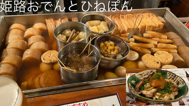 青春18きっぷの秋バージョン3日間JR鈍行秋の乗り放題フリーきっぷ7,850円を初めて購入して、四国の昭和レトロな行きたい場所へ、またしても快速と鈍行にて向かいました。ブルートレイン全国保存車両巡りの最終地点香川県のオープン前の観音寺岸井うどんさんの保存車両と松山の道後地ビール飲みに行きました。