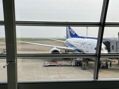 6年ぶりの沖縄へ　久しぶりの長距離路線に搭乗　ANA469便搭乗記