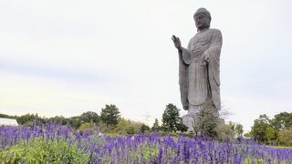 【2022.10 土浦･つくば･牛久】~宇宙センター/牛久大仏~【47都道府県一人旅 #27 茨城県】