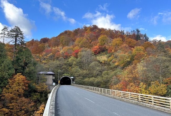 2021年の秋、10月も終わりに近づくと、東北地方は今まさに紅葉の見頃を迎えているようで、今回は東北３県（宮城県・秋田県・岩手県）の紅葉スポットをピックアップしながら、周遊していくことに。<br /><br />紅葉に彩られた「鳴子峡」を出発し、さらに北を目指して車を走らせて向かったのは、狭隘な地形に造られた「鳴子ダム」で、人工湖である「荒雄湖」とともに、秋には美しい紅葉の風景が広がるスポットになっています。<br />そして「鳴子温泉郷」の最奥に位置する「鬼首温泉」へと移動し、自然の神秘を思わせる「鬼首間欠泉」を見学してから、さらに周囲を紅葉した木々が広がる「鬼首エコロード」を快適にドライブしながら、ついに宮城県と秋田県との県境までたどり着きました。<br /><br />これで東北３県のうち宮城県を巡るパートは終りとなりますが、青空の下、鮮やかに色づく紅葉を楽しむことができました♪<br /><br /><br />〔秋の東北３県紅葉巡り（2021年10月）〕<br />●Part.1（１日目①）：鳴子峡（紅葉の名所100選）<br />　https://4travel.jp/travelogue/11780967<br />●Part.2（１日目②）：鳴子ダム／鬼首温泉／鬼首エコロード【この旅行記】<br />●Part.3（１日目③＆２日目①）：秋の宮温泉郷／こまち湯ったりロード<br />　https://4travel.jp/travelogue/11784960<br />●Part.4（２日目②）：小安峡<br />　https://4travel.jp/travelogue/11787147<br />●Part.5（３日目①）：平泉①／中尊寺（世界遺産）<br />　https://4travel.jp/travelogue/11788732<br /><br />〔紅葉の名所を巡る旅〕<br />●八幡平（岩手県）　：https://4travel.jp/travelogue/11707256<br />　　　　　　　　　　　https://4travel.jp/travelogue/11710639<br />●箱根（神奈川県）　：https://4travel.jp/travelogue/11725617<br />　　　　　　　　　　　https://4travel.jp/travelogue/11729505<br />●妙高高原（新潟県）：https://4travel.jp/travelogue/11657066<br />●大原（京都府）　　：https://4travel.jp/travelogue/11544446<br />　　　　　　　　　　　https://4travel.jp/travelogue/11549521