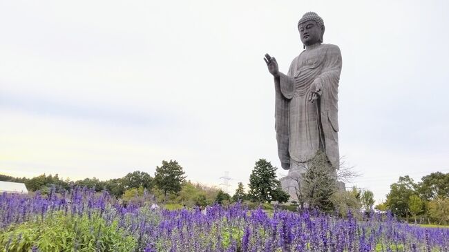 【2022.10 土浦･つくば･牛久】~霞ヶ浦/牛久大仏~【47都道府県一人旅 #27 茨城編】