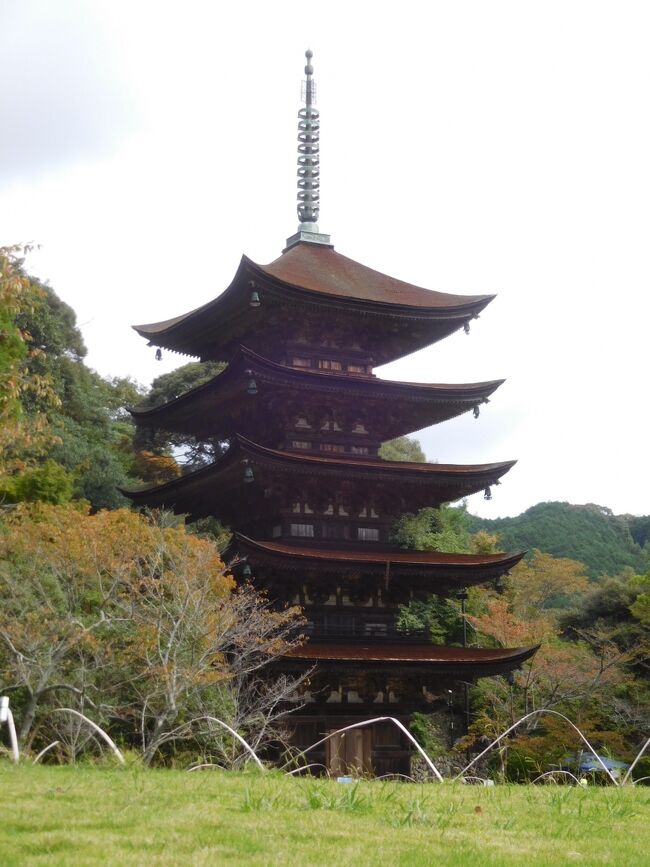 　山口市で健康イベントに参加します。<br />その前に国宝瑠璃光寺五重塔を見に行きました。<br /><br />　1998年の葺き替えから20年以上が経過し、台風などで傷んだ檜皮葺き屋根を修復する工事が行われます。<br /><br />それで、土日・祝日に特別展示として1層目を開帳し修復費用に充てるということでした。<br />クラウドファンディングも実施中です。<br /><br />　<br />