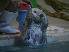 【ラッコに会いたくて】1日目：初めてのお伊勢まいり～鳥羽水族館