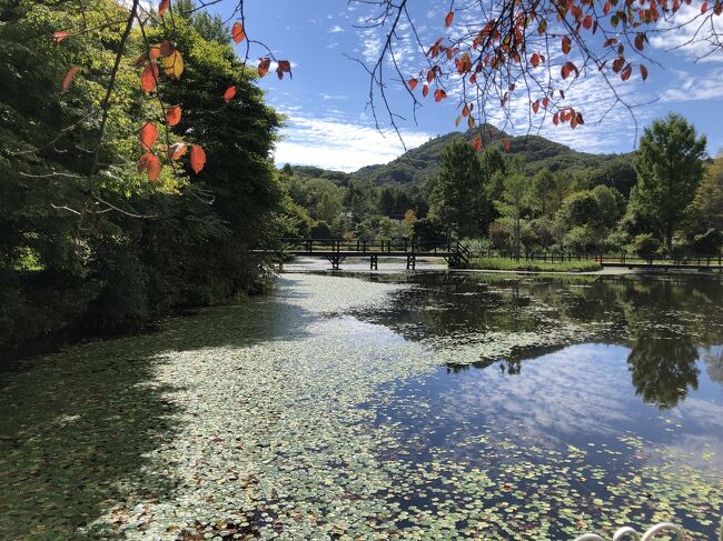 愛犬と一緒に初秋の軽井沢をのんびり旅行しました。